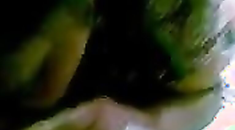 Vidya Bhabhi Blowjob - Movies.