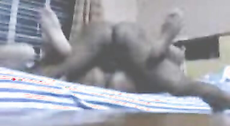 Mature housewife from Vadodara, India having some nasty sex with her husband in bedroom recorded by hidden cam.