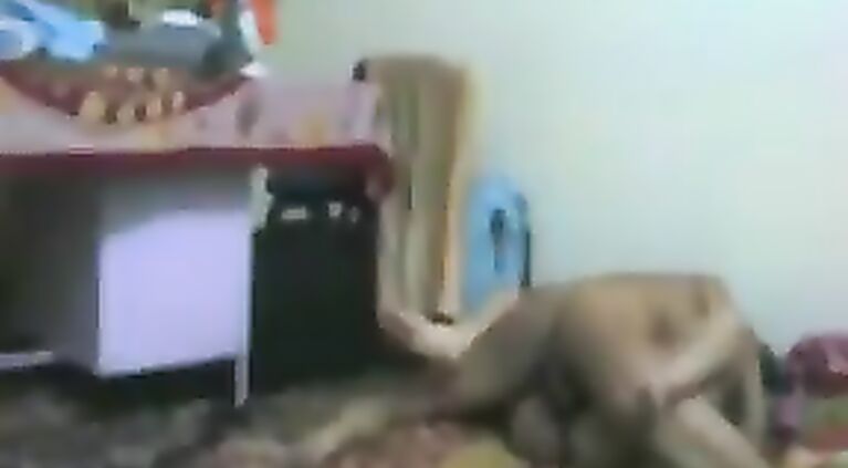 My Sweet GF Sex - Movies.