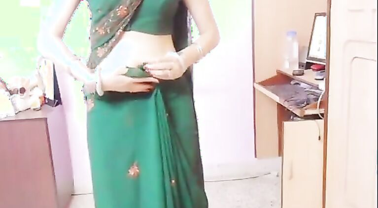 Bhabhi Lesson About Saree - Movies.