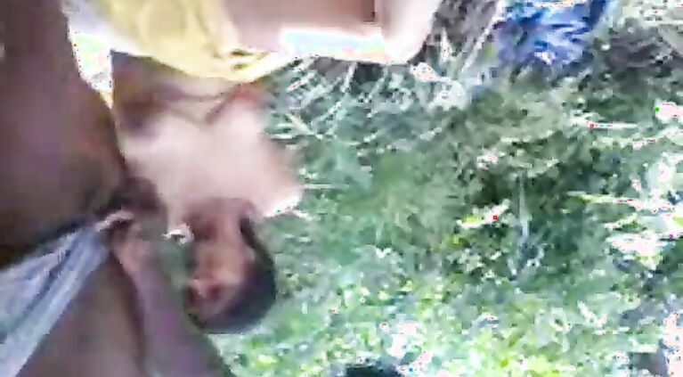 Bhabhi Bj Wild Sex In Forest - Movies.