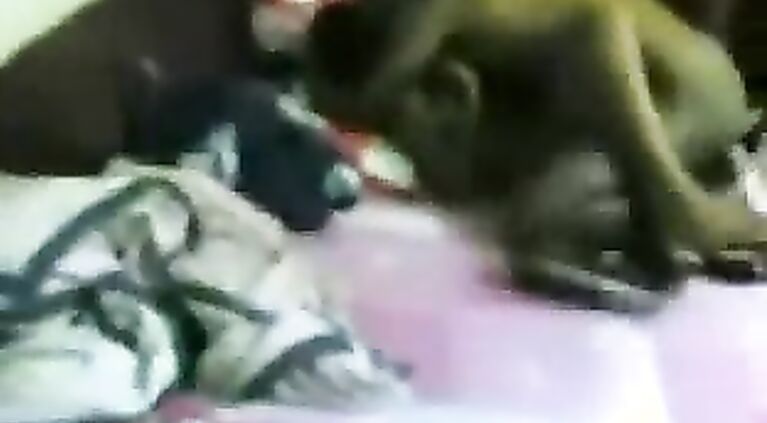 Bangla call girl with her client in bed fucked hard in missionary style later joined by clients friend.