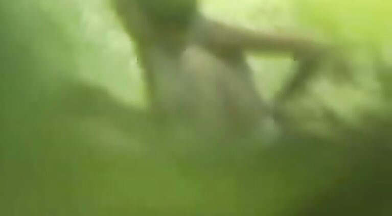 B-grade Indian softcore movie of horny bhabhi trying to convince her young devar to have affair
