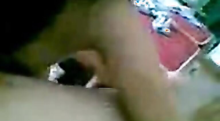 Simmi Bhabhi Blowjob - Movies.