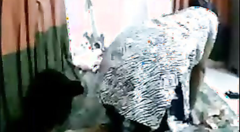 Indian Babe Ummi Cam Sex - Movies. video2porn2