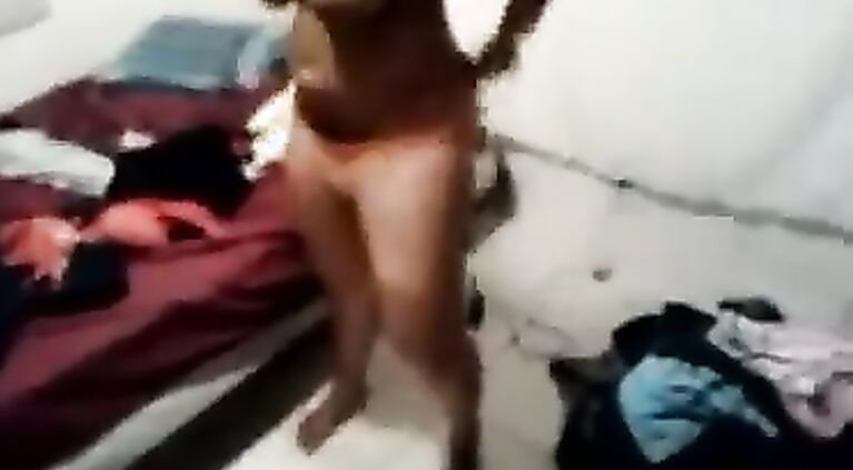 Busty Tamil Bhabhi - Movies.