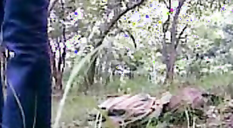 Kolkata Couple Leaked MMS - Movies. video2porn2
