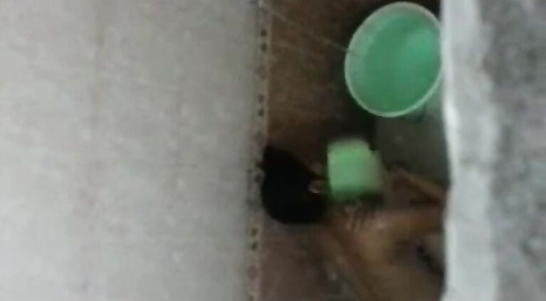 Girl Caught In Hostel Shower - Movies.
