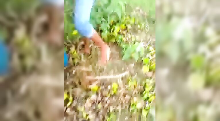 Bangla College Valentine Kiss - Movies. video2porn2