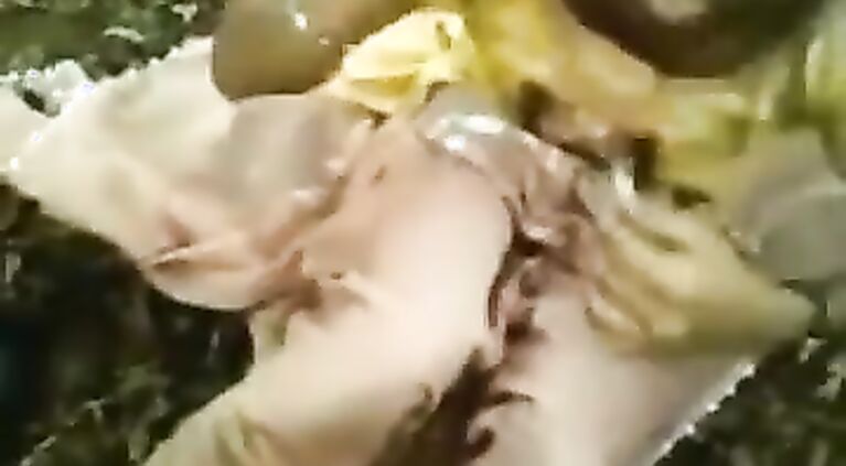 Fsiblog - Mallu college girl fucked by lover in forest mms.