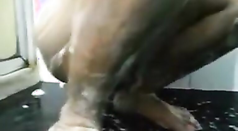Indian gujju bhabhi bathing.