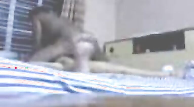 Great job 'manoeuvring' her to the cam That ass thou Wow