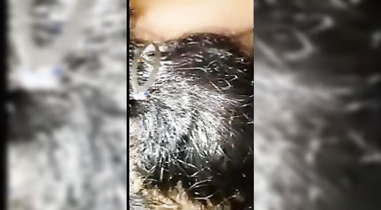 UK Desi slut sucks my cock