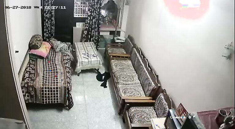 Hot pregnant thief housewife