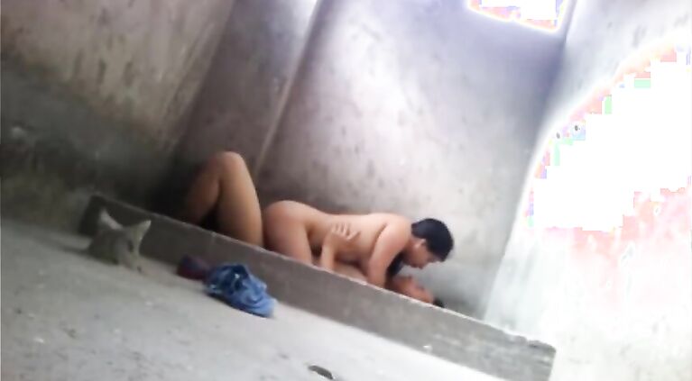 Exclusive - Tamil Tamil Real Collage Girl Sex With Boyfriend in A Cow Farm