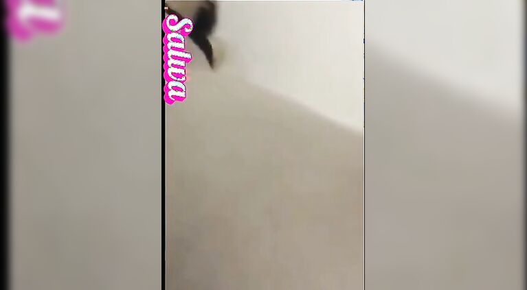 Innocent arabian girl 18 years virgin college student