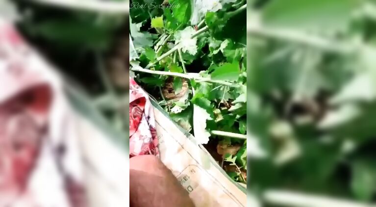 Desi Shop Maid Cheating Sex with Owner at Outdoor Farm