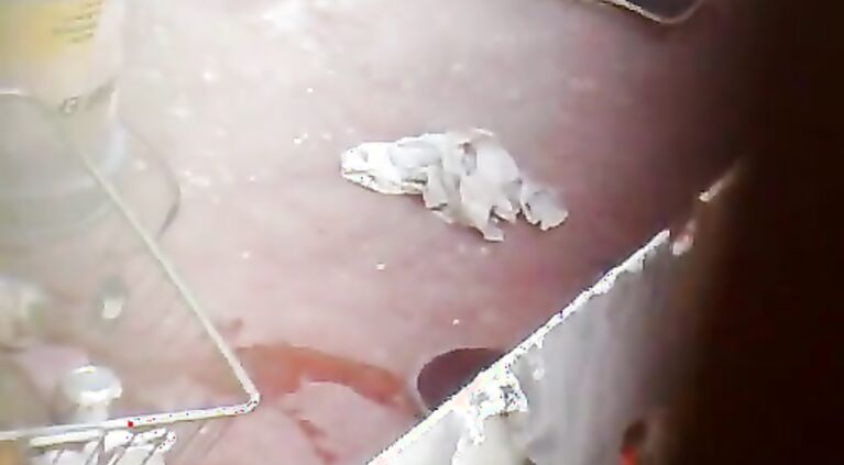 Neighbour Aunty Washing - Movies.