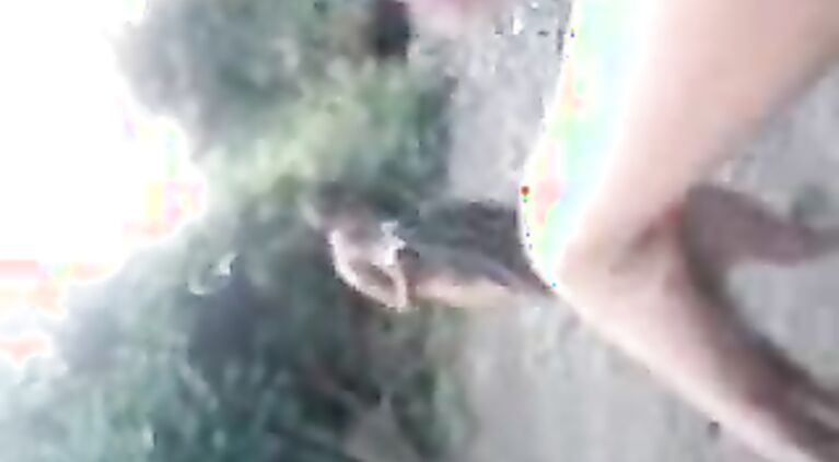 Desi Wife On Sex Mission.