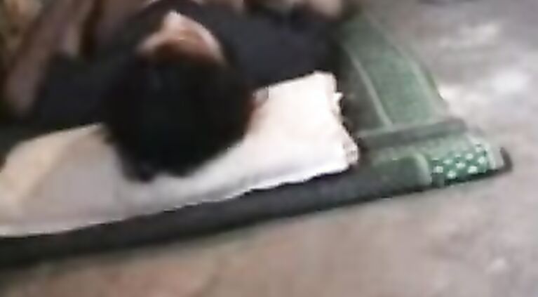 Girl Getting Ass Fucked - Movies.