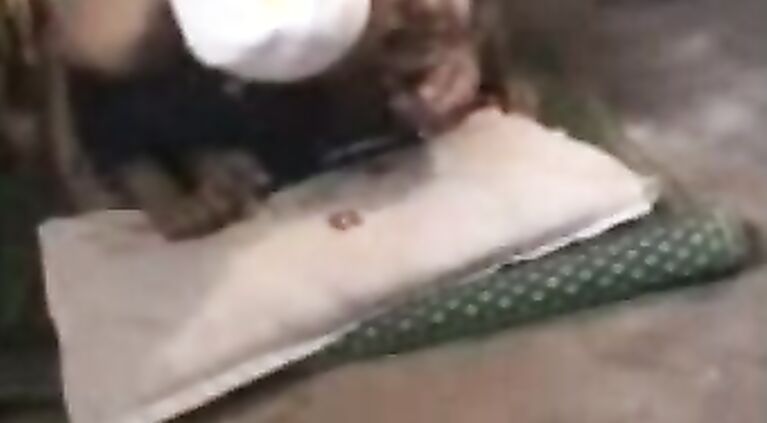 Pathan girl from Peshwar getting her ass fucked by boyfriend screaming in pain and pleasure.